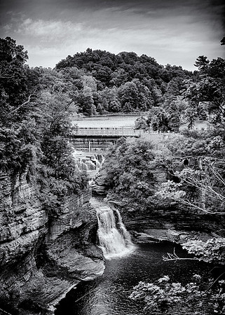 Cornell-University-33