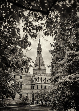 Cornell-University-38