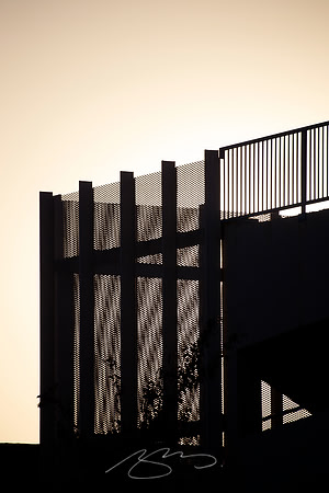 Fences, Backlit