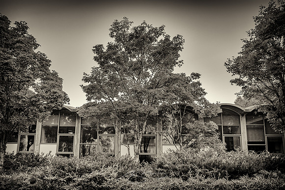 Vassar-23