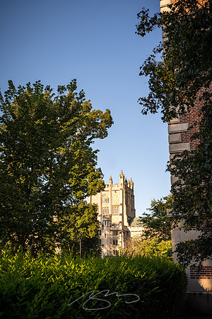 Vassar-26