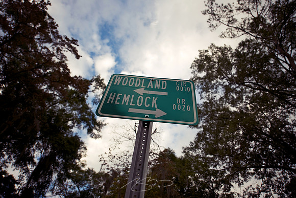 Woodland and Hemlock
