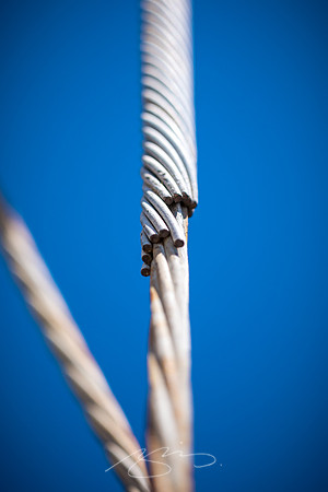 Macon - May 2022 - 60 - Wire Detail, Poplar Street, Macon