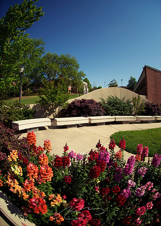 (Flowered) Study Enclave