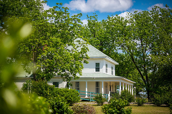 Smarr - May 2025 - 8 - House in Landscape, 66 Rumble Rd., Smarr