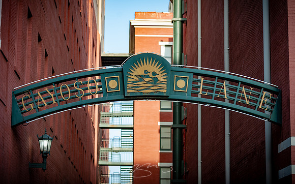 memphis-24