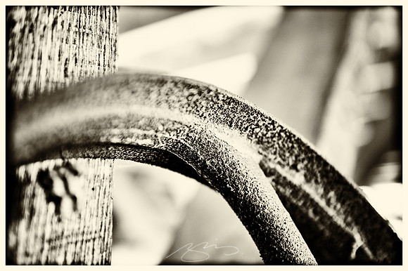 jarrell-plantation-29