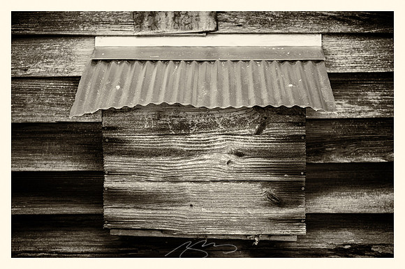 jarrell-plantation-33