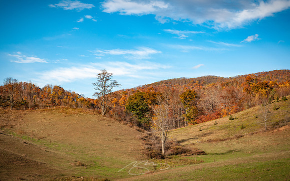 boone-9