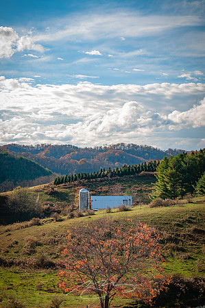boone-8