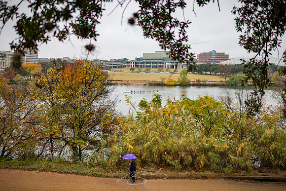 Austin-20