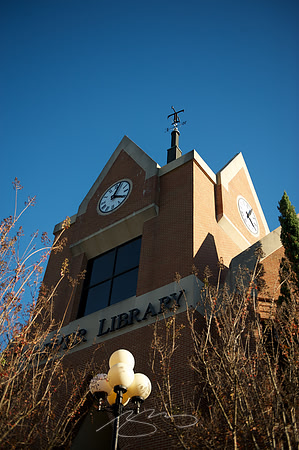 mercer-university_3