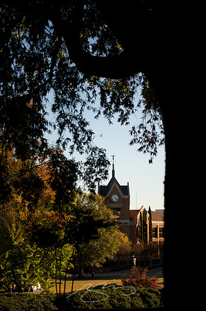 mercer-university_13