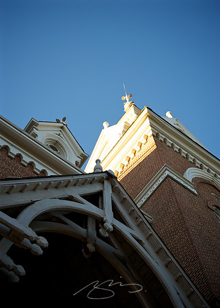 mercer-university_24