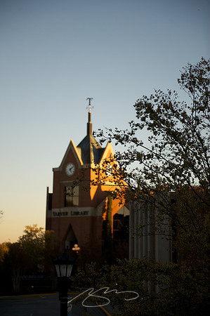 mercer-university_31