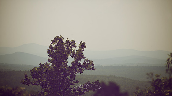 talledega_1