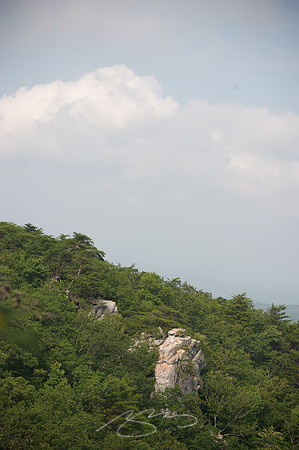 talledega_7