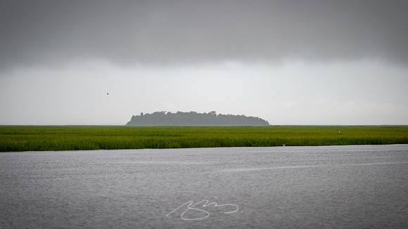sapelo-09-1