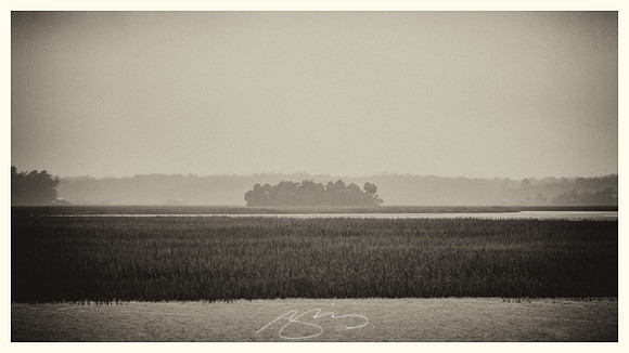sapelo-09-4