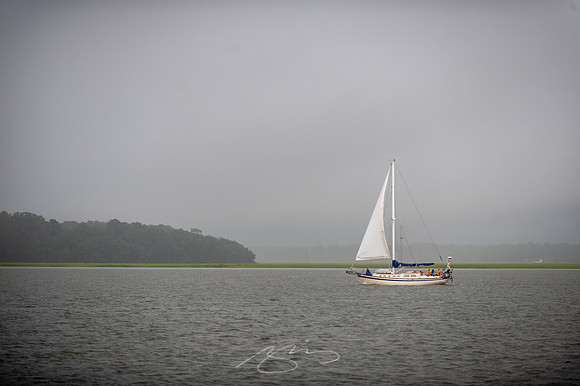 sapelo-09-7