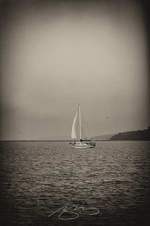 sapelo-09-8