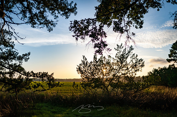 sapelo-09-10