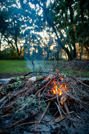 sapelo-09-13