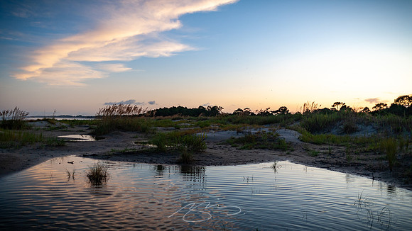 sapelo-09-16