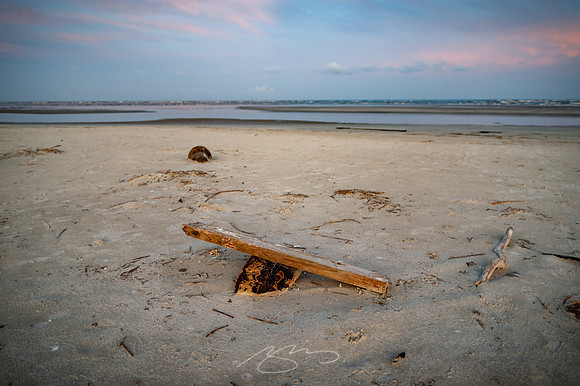 sapelo-09-17