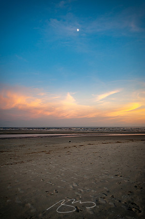 sapelo-09-19