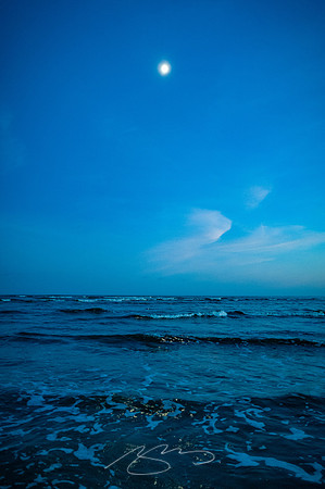 sapelo-09-24