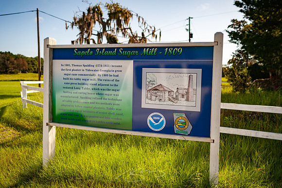sapelo-09-26