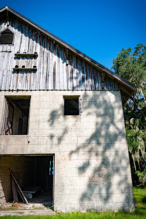 sapelo-09-27