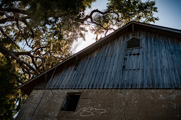 sapelo-09-31