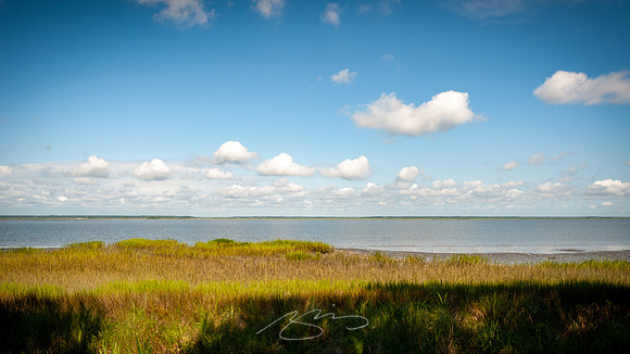 sapelo-09-33