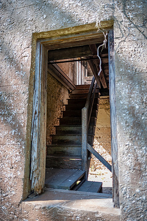 sapelo-09-36