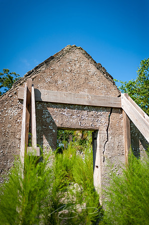 sapelo-09-39