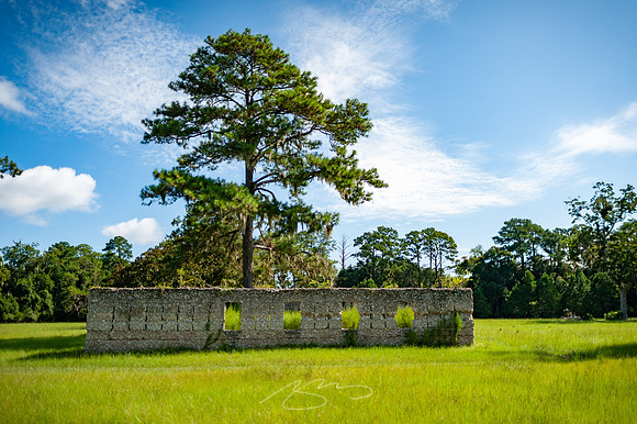 sapelo-09-41