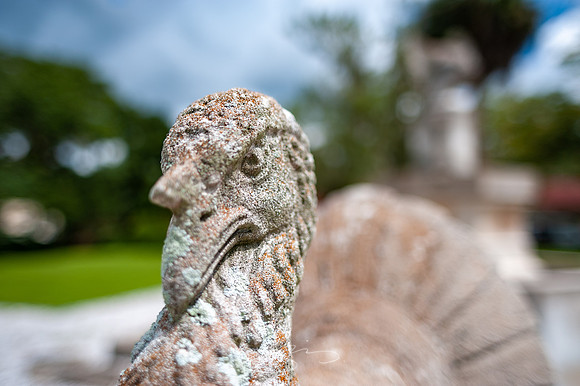 sapelo-09-50
