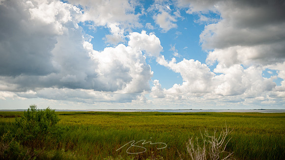 sapelo-09-61