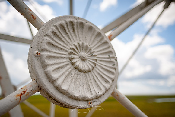 sapelo-09-66