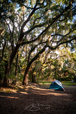 sapelo-09-75