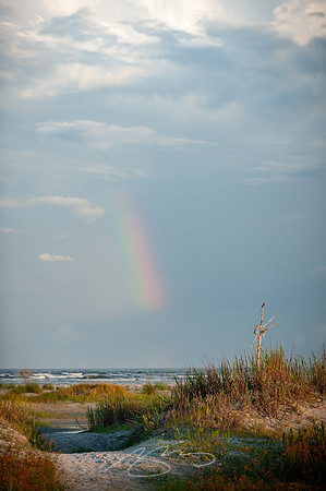 sapelo-09-79