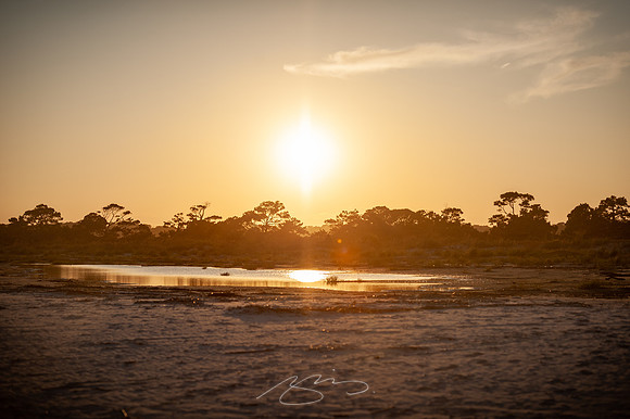 sapelo-09-80
