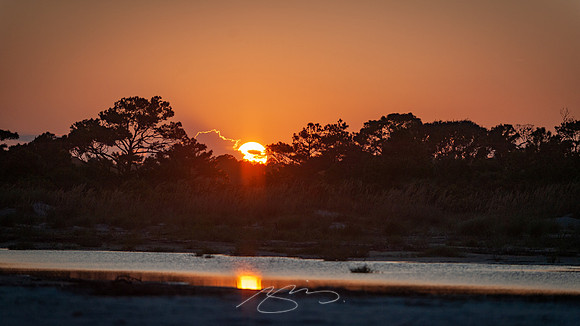 sapelo-09-83