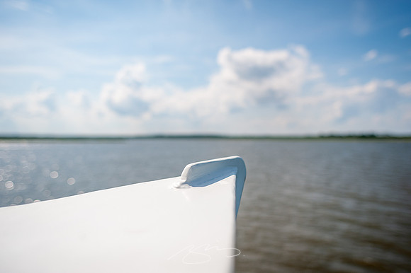sapelo-09-88