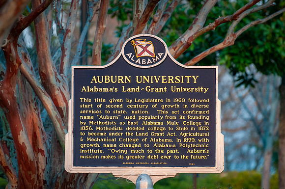 Auburn-U-53