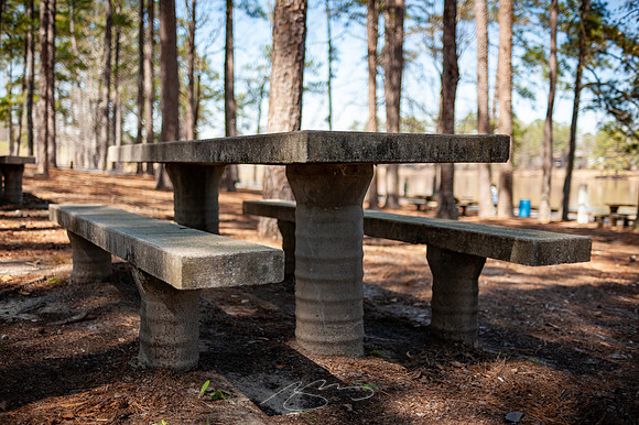 Cooper-Creek-Park-3