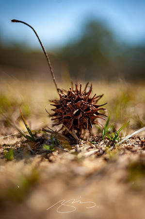 Cooper-Creek-Park-5