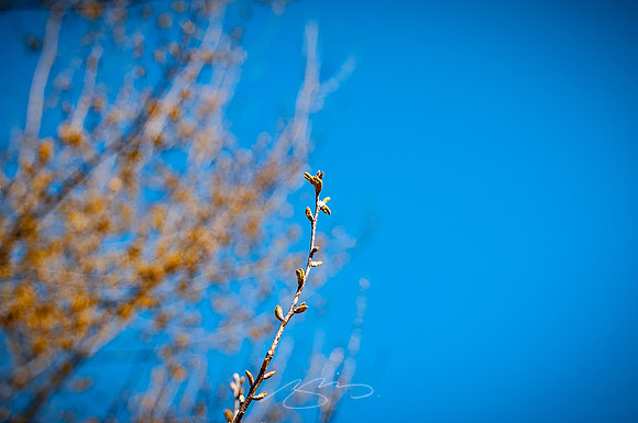 Cooper-Creek-Park-7